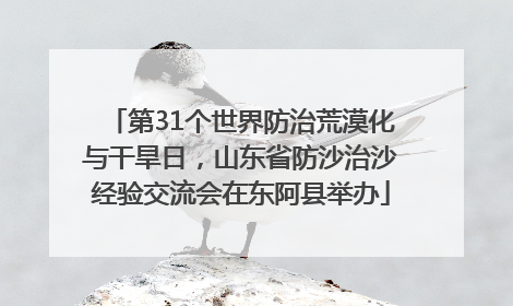 第31个世界防治荒漠化与干旱日，山东省防沙治沙经验交流会在东阿县举办